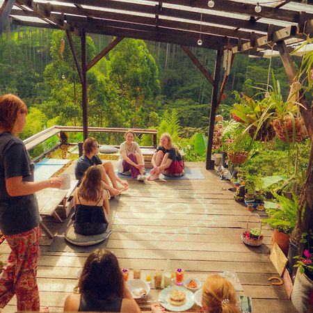 Creo Ecolodge Jardín Exteriör bild