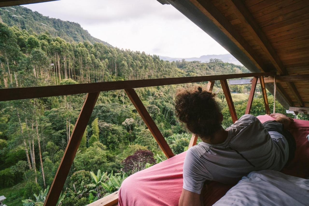 Creo Ecolodge Jardín Exteriör bild