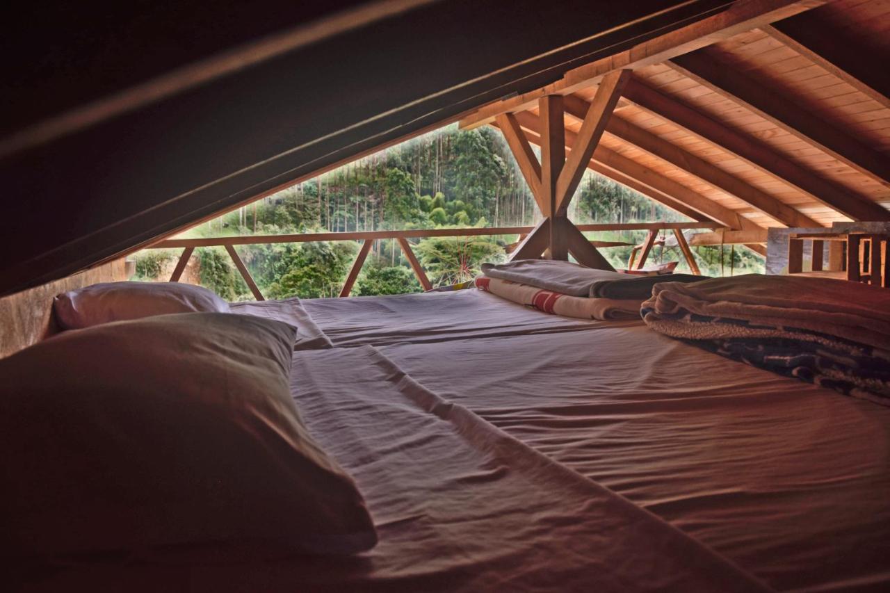 Creo Ecolodge Jardín Exteriör bild