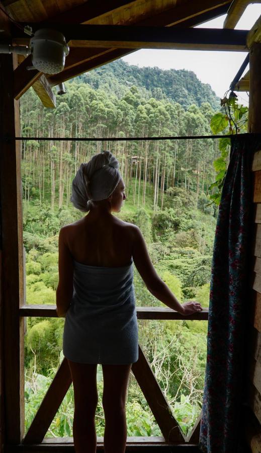 Creo Ecolodge Jardín Exteriör bild