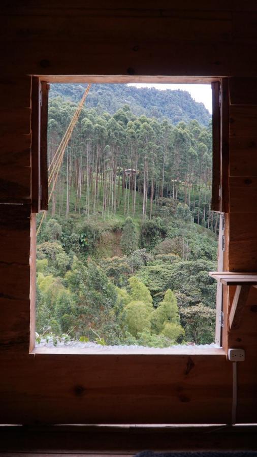 Creo Ecolodge Jardín Exteriör bild