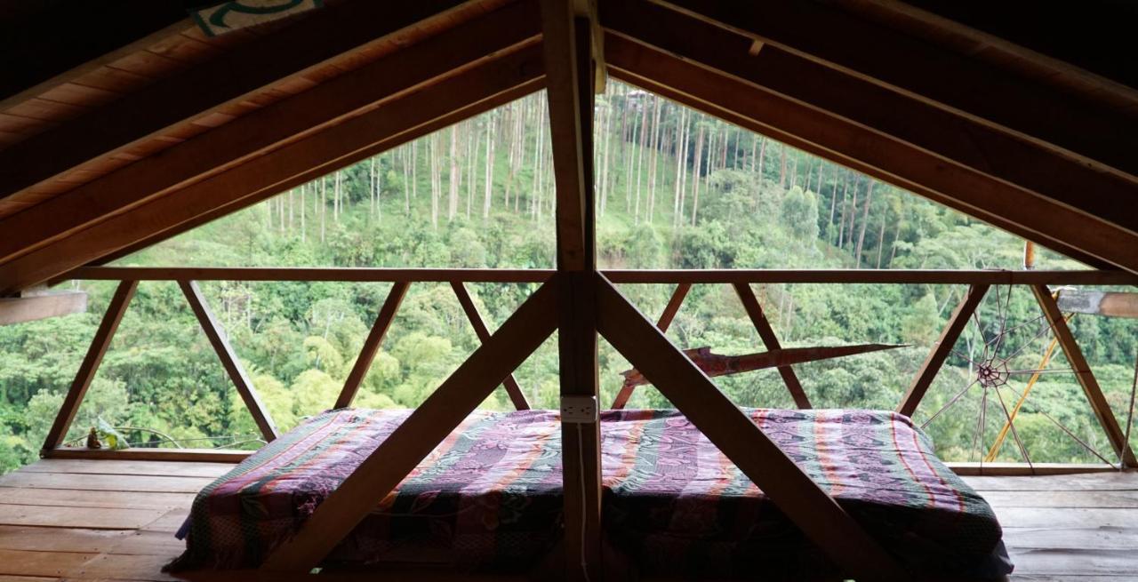 Creo Ecolodge Jardín Exteriör bild