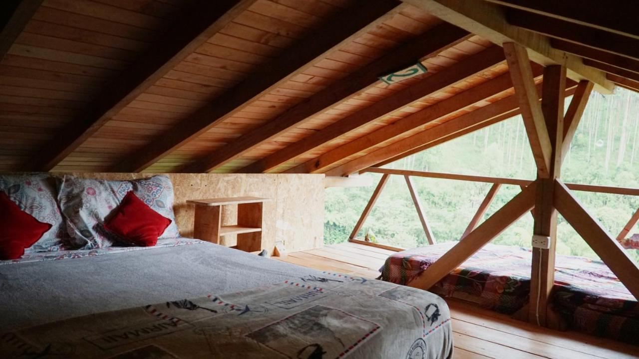 Creo Ecolodge Jardín Exteriör bild