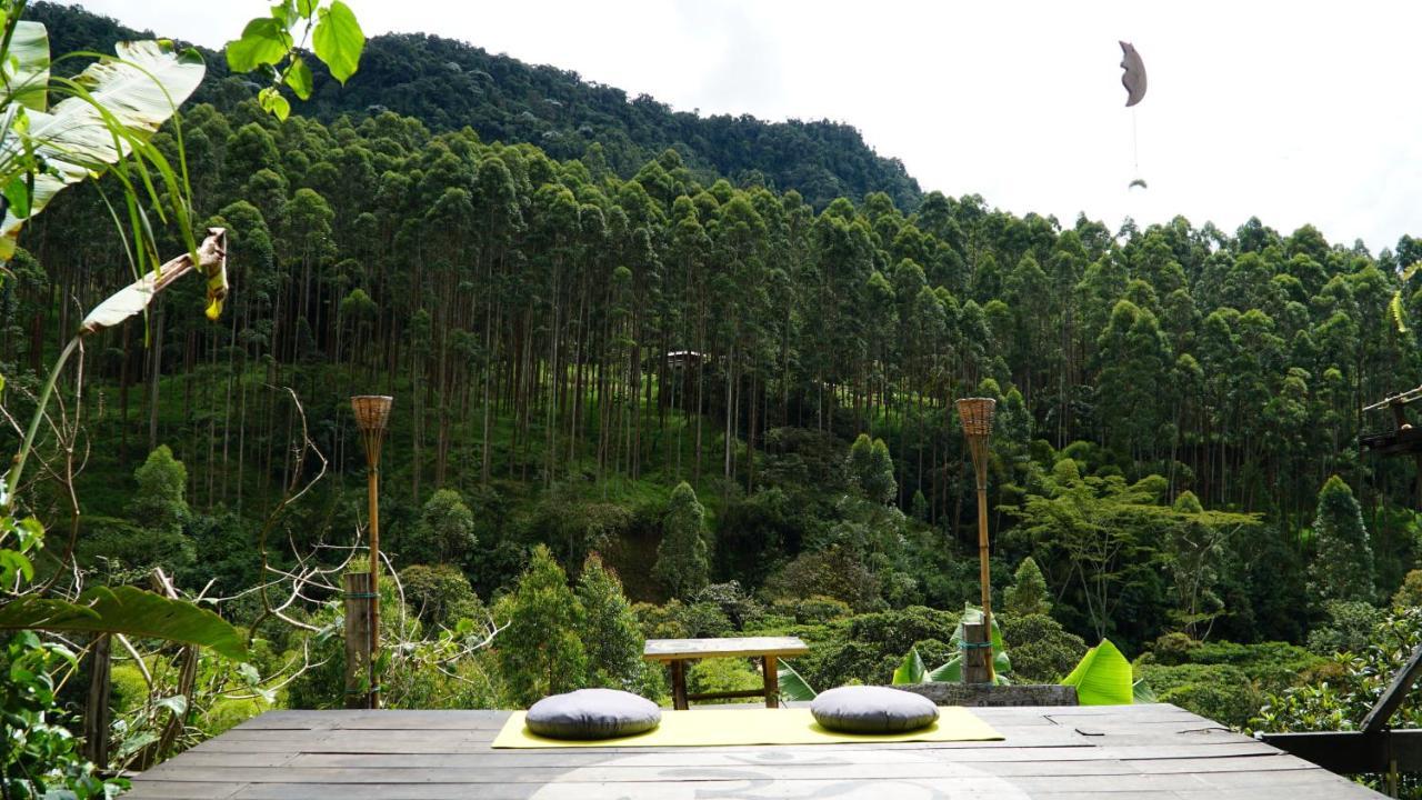 Creo Ecolodge Jardín Exteriör bild