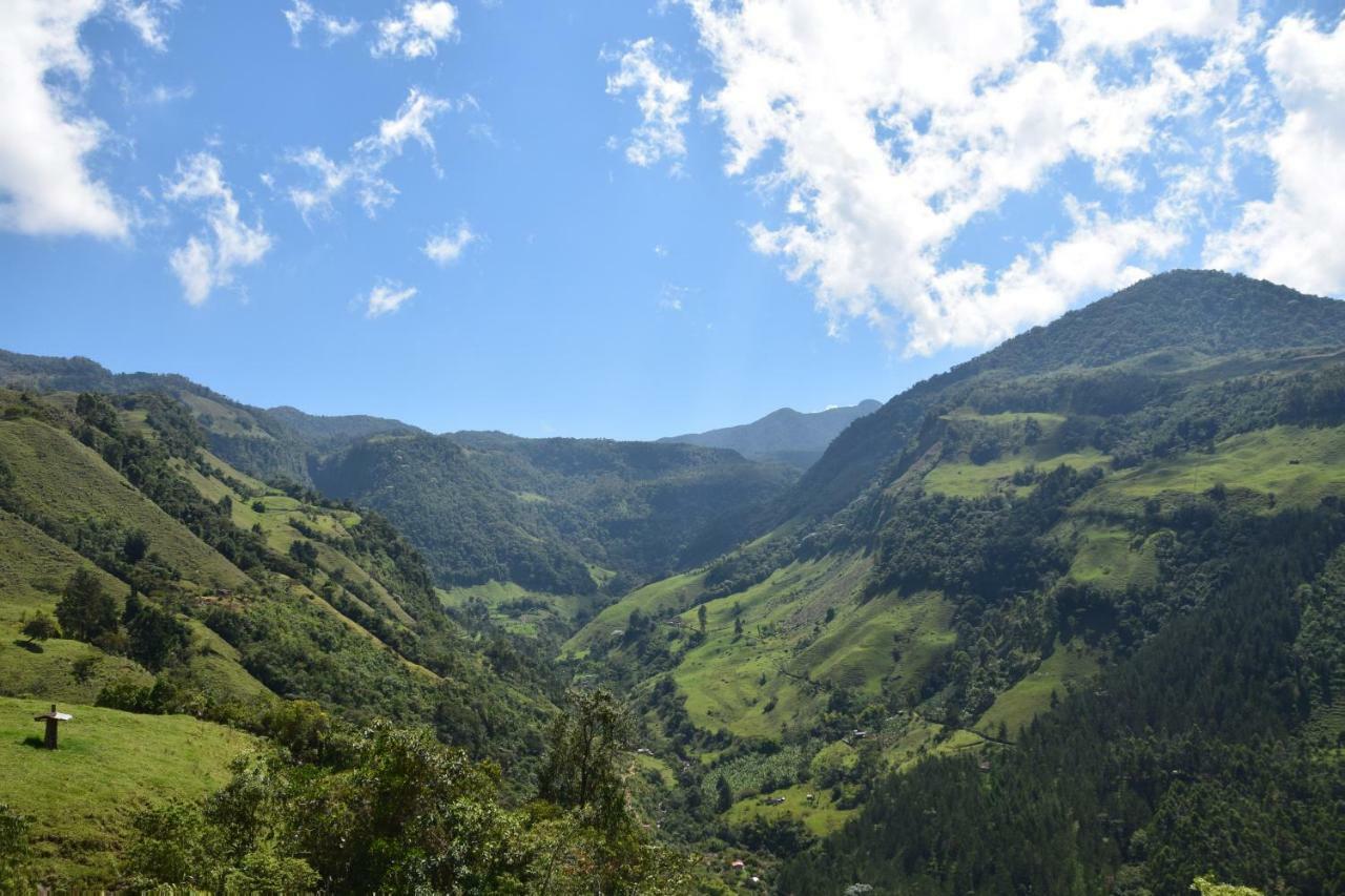 Creo Ecolodge Jardín Exteriör bild