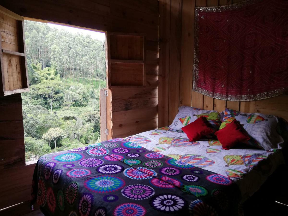Creo Ecolodge Jardín Exteriör bild