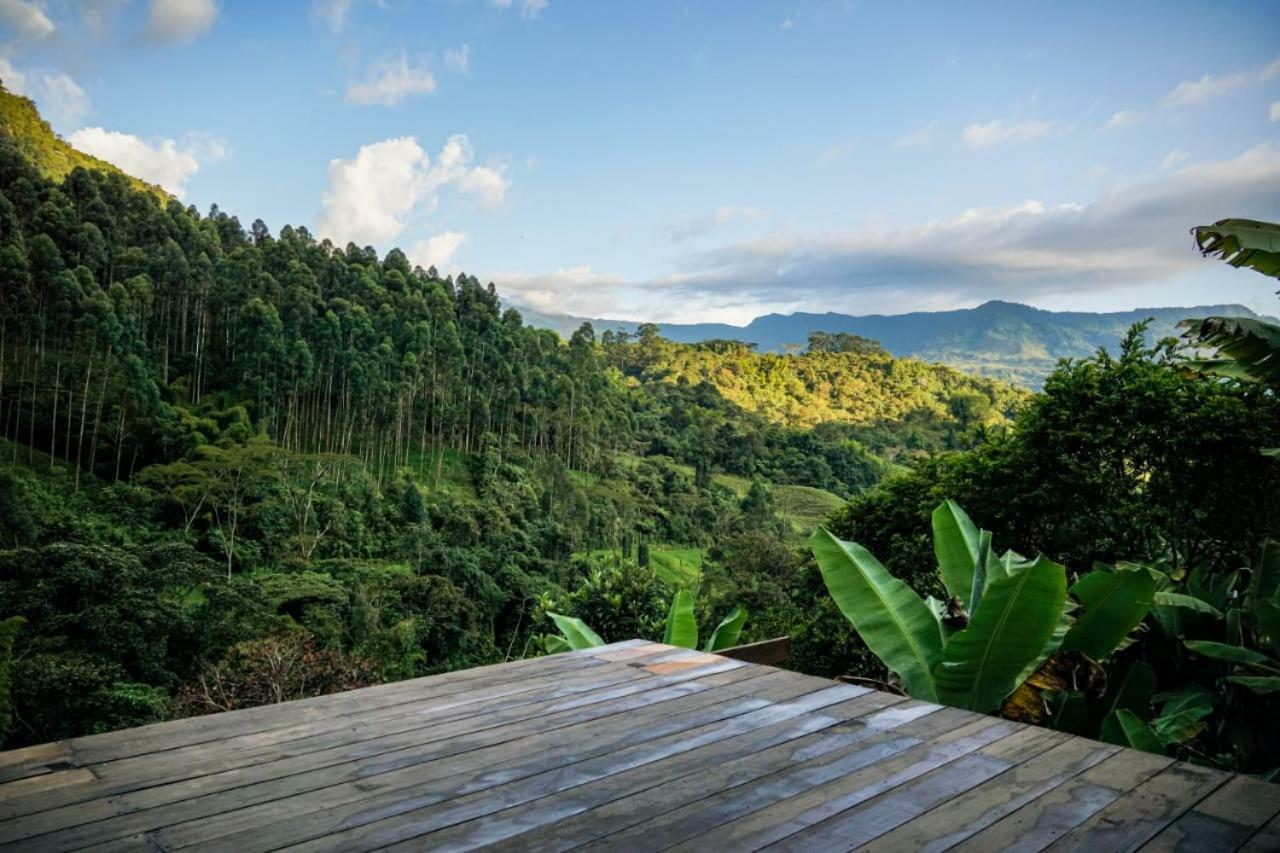 Creo Ecolodge Jardín Exteriör bild